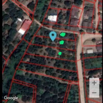 ขายด่วน!สวนลำไยลำพูนติดถนนสวย ค้าขายได้ ใกล้ตลาด บรรยากาศดี ราคาพิเศษสุดๆ