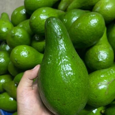 อะโวคาโด